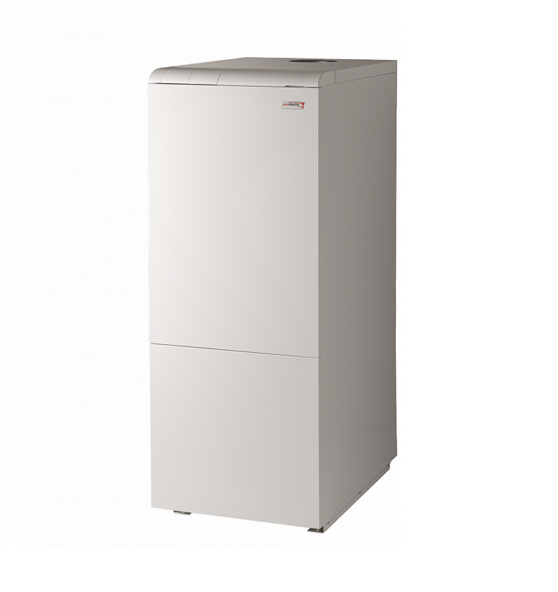 Газовый котел медведь 30. Напольный газовый котел Protherm медведь 20 KLZ. Протерм 30 KLZ. Котел Protherm медведь 30 KLZ. Газовый котел KLZ 50 Protherm.